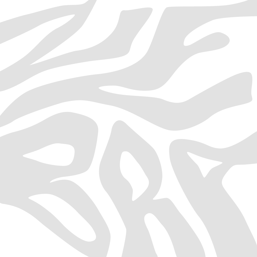 Zebra Rodeo